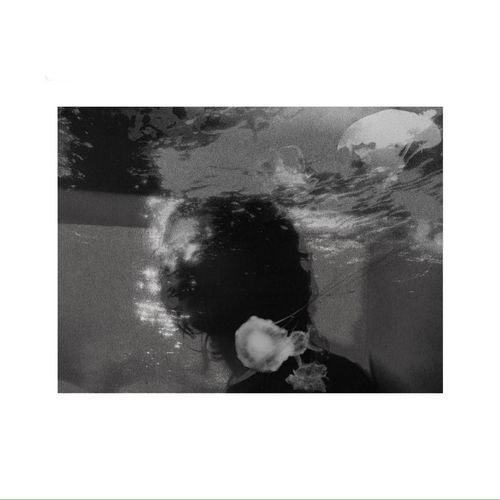 Shirley cover art