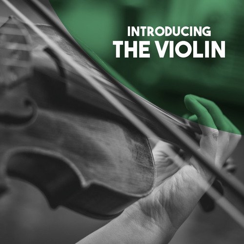 Introducing: The Violin