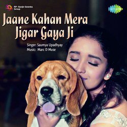 Jaane Kahan Mera Jigar Gaya Ji-SFExdQ1qaFI