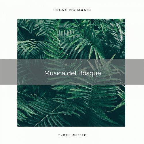 Sonidos de Pájaros Salvajes del la Selva para Dormir cover art