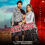 Mere Daman Aali Jhol