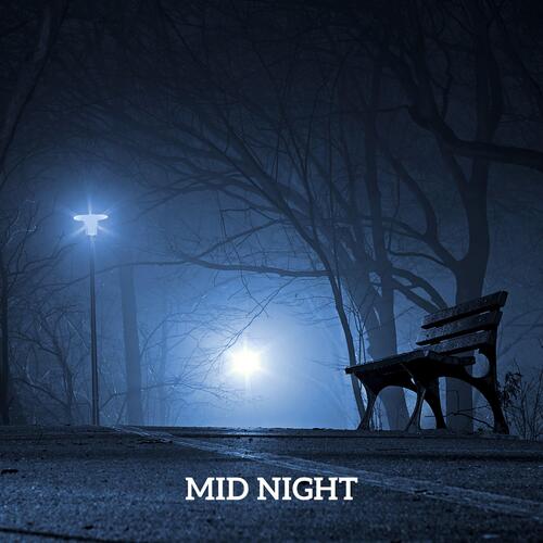 Mid Night_poster_image