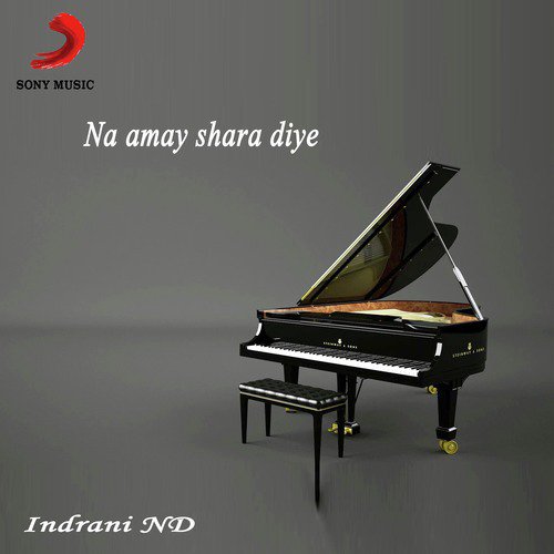 Na Amay Shara Diye - Single