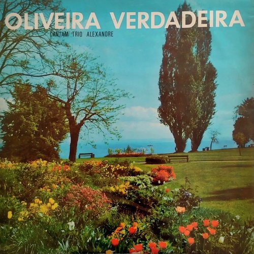 Oliveira Verdadeira cover art