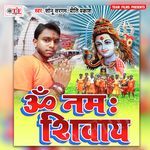 Om Namah Shivay