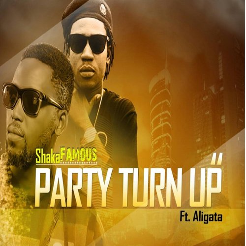 Party Turn Up (feat. Aligata)_poster_image