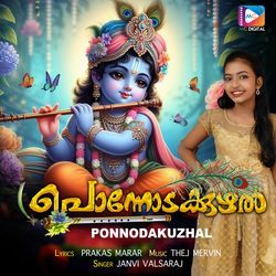 Ponnodakkuzhalil Ninn Nadam