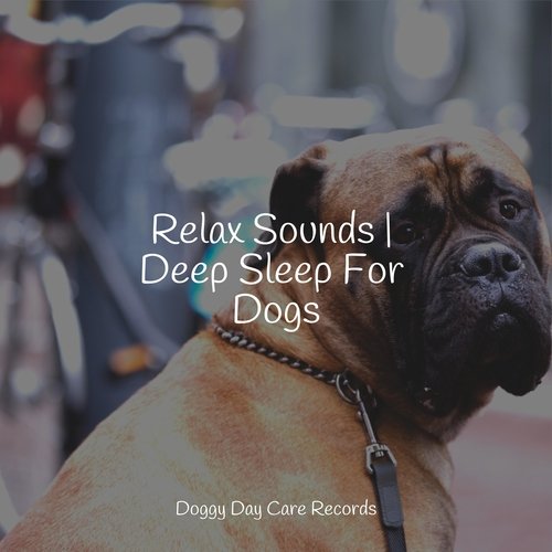 Calming New Age cover art