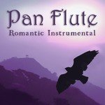 Romantic Instrumental Hits