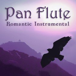 Romantic Instrumental Hits