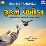 Ruk Ne Pankhida artwork
