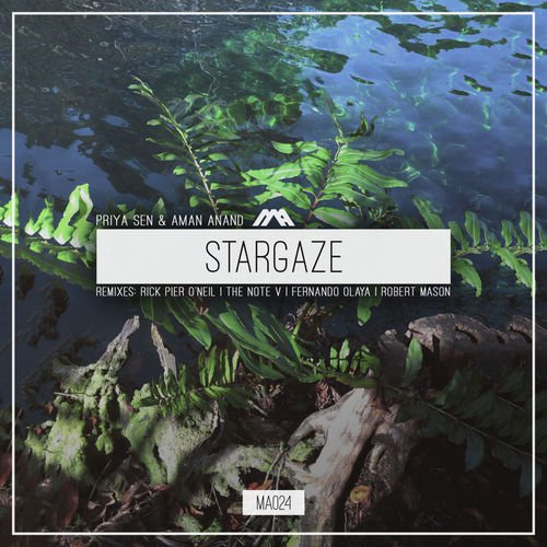 Stargaze_poster_image