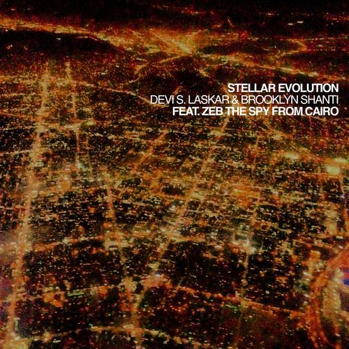 Stellar Evolution