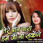 Tere Bin Yara Hum Ji Na Sakenge
