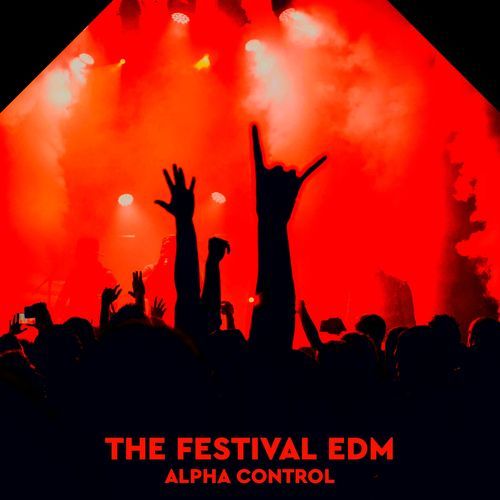 The Festival EDM_poster_image