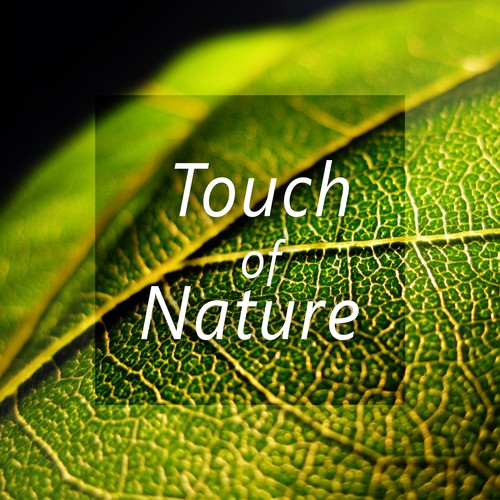 Touch of Nature – Peaceful Music for Total Relaxation, Easy Sleep, Pure Meditation, Spa, Pure Massage
