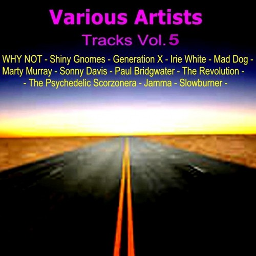 Tracks Vol. 5