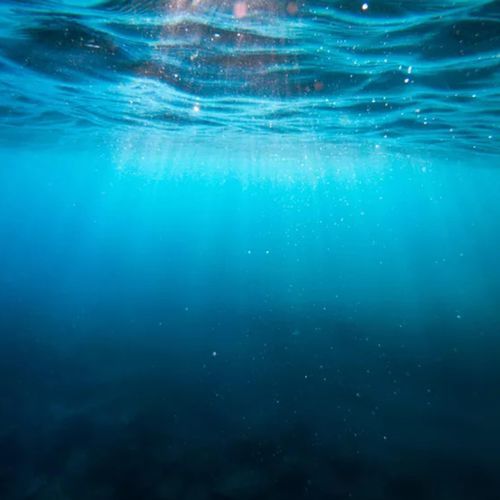 Underwater cover art