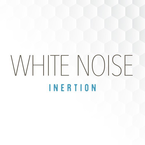 White Noise: Inertion
