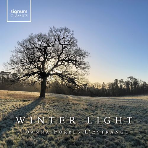 Winter Light_poster_image