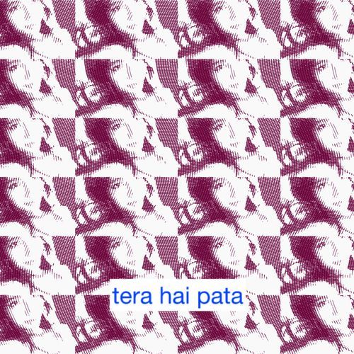 tera hai pata