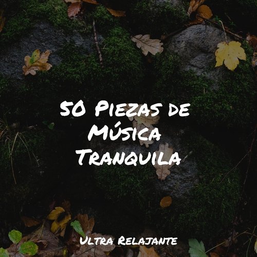 50 Piezas de Música Tranquila_poster_image