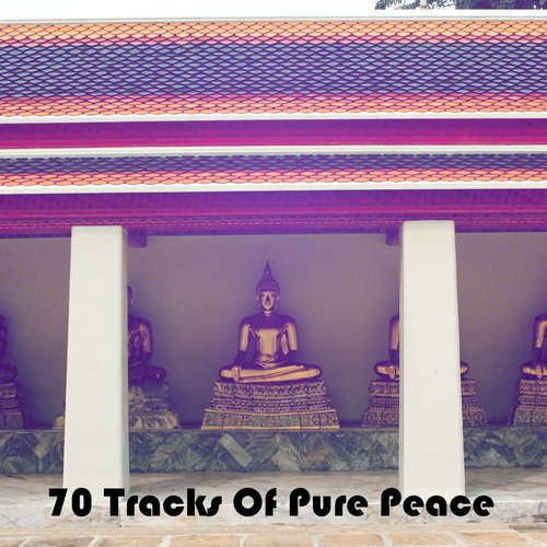 70 Tracks Of Pure Peace