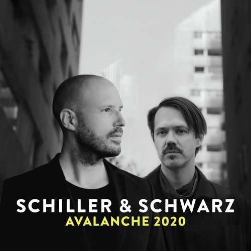 Avalanche 2020_poster_image