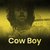 Cow Boy