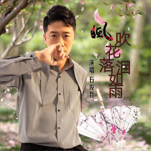 风吹花落泪如雨 (DJ何鹏版)_poster_image