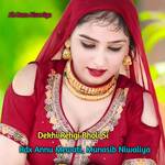 Dekhi Rehgi Bholi Si artwork