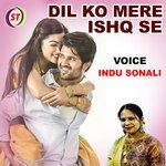 Dil Ko Mere Ishq Se (Hindi)