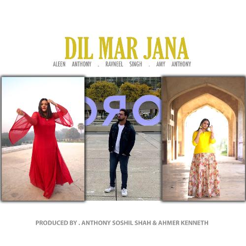 Dil Mar Jana (feat. Ravneel Singh)