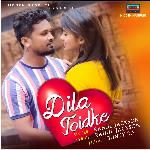 Dila Toidke