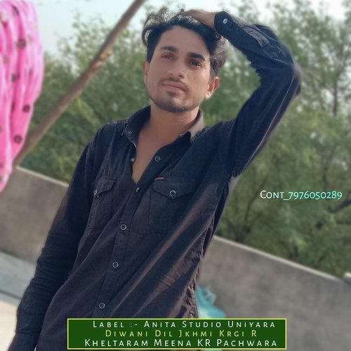 Diwani Dil Jkhmi Krgi R