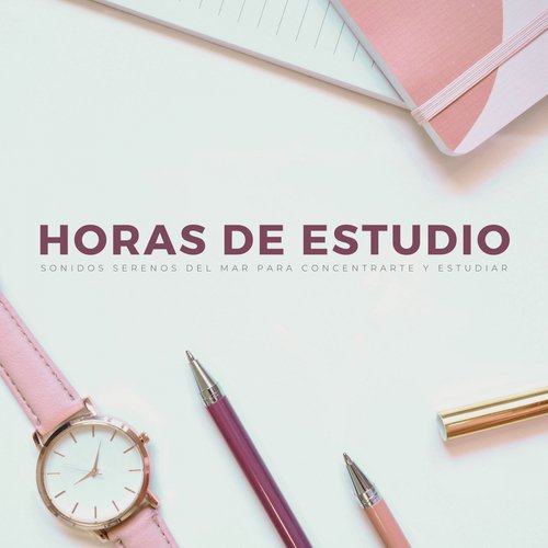 Estudiar Música cover art