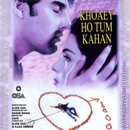 Khoaey Ho Tum Kahan_poster_image