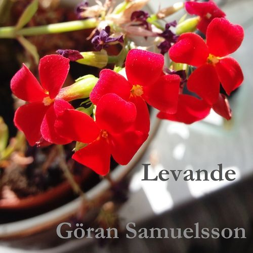 Levande cover art