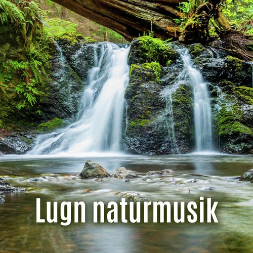 Omgivande musik cover art