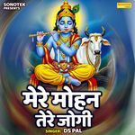 Mere Mohan Tere Jogi