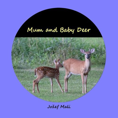 Mum and Baby Deer