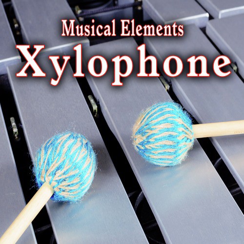 Metal Xylophonee Gliss Up