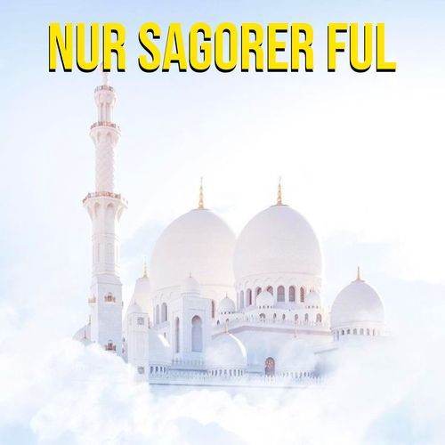 Nur Sagorer Ful