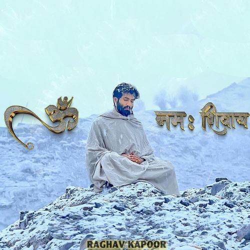 Om Namah Shivaye