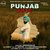 Punjab 2016