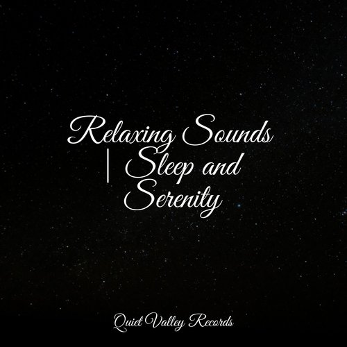 Relaxing Sounds | Sleep and Serenity_poster_image