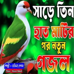 Sare Thin Hat Matir Gor