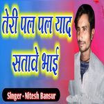 Teri Pal Pal Yaad Satave Bhai