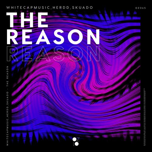 The Reason_poster_image