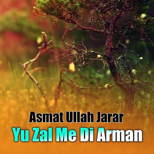 Yu Zal Me Di Arman
